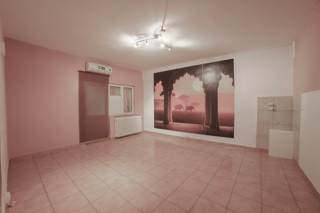 Spatiu comercial/Spatiu birouri*Ion Mortun*Vitan